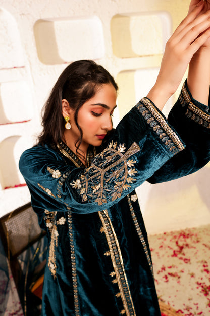 Velvet Silk Handembroidered Suit Set