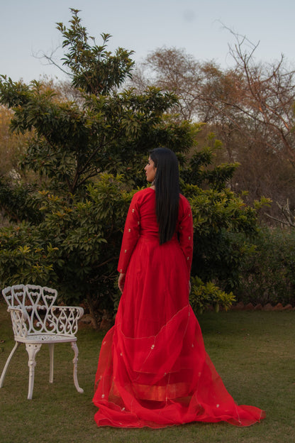 Amaranth Zardozi Anarkali