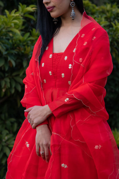 Amaranth Zardozi Anarkali